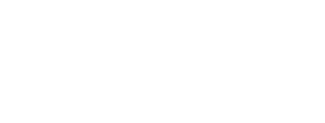 Logo empresa DIS